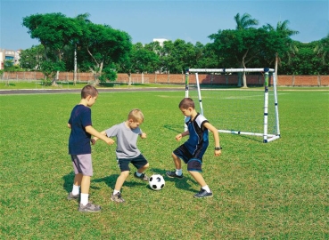 MINI-SOCCER GOAL 18 Torwand