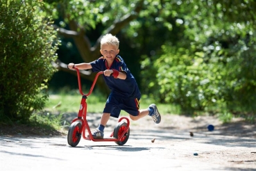 MINI Roller mit 1 Hinterrad